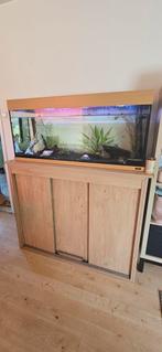 Aquarium 200L met ijzeren kast inclusief led licht, Ophalen, Gebruikt, Leeg aquarium