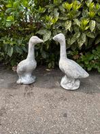 2 leuke betonnen ganzen 65cm, Tuin en Terras, Ophalen of Verzenden, Zo goed als nieuw, Beton, Dierenbeeld