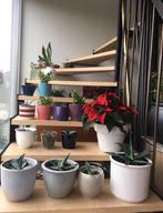 Vintage kwaliteit terracotta bloempotten bio kamerplanten, Binnen, Ophalen of Verzenden, Zo goed als nieuw, Overige vormen