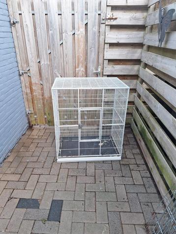 Tekoop groot vogelkooi  beschikbaar voor biedingen