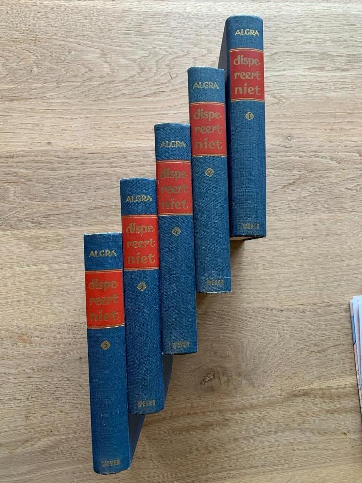 "Dispereert niet" door A en H. Algra, Boeken, Geschiedenis | Vaderland, Gelezen, Ophalen of Verzenden