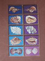 PALAU 1984 serie SCHELPEN, Verzenden, Postfris, Dier of Natuur