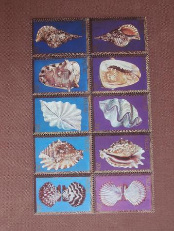 PALAU 1984 serie SCHELPEN beschikbaar voor biedingen