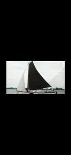 Hasselter aak platbodem, Watersport en Boten, Platbodems, Ophalen of Verzenden, Zo goed als nieuw, Staal, Diesel