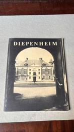 Diepenheim, Boeken, Geschiedenis | Stad en Regio, Ophalen of Verzenden, Zo goed als nieuw