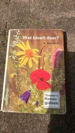 Aichele - wat bloeit daar, Boeken, Ophalen of Verzenden, Zo goed als nieuw