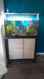 Aquarium ledverlichting 80 cm modern, Ophalen, Gebruikt, Verlichting of Verwarming