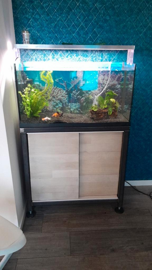 Aquarium ledverlichting 80 cm modern, Dieren en Toebehoren, Vissen | Aquaria en Toebehoren, Gebruikt, Verlichting of Verwarming