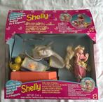 Barbie: Shelly Baby-zusje van Barbie, Ophalen of Verzenden, Zo goed als nieuw, Barbie