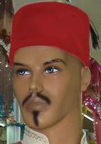 Fez hoed rood, Carnaval, Overige maten, Ophalen of Verzenden, Accessoires