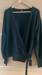 Wikkelvest Hema maat XL, Kleding | Dames, Grote Maten, Ophalen of Verzenden, Zo goed als nieuw, Zwart, Trui of Vest