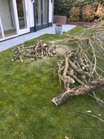 Takken GRATIS, 6 m³ of meer, Ophalen, Overige houtsoorten, Takken