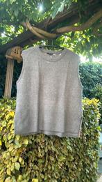Pullover, Kleding | Dames, Maat 38/40 (M), Ophalen of Verzenden, Zonder mouw, Grijs