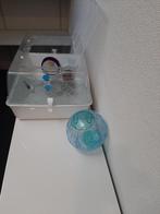 Hamsterkooi, Dieren en Toebehoren, Kooi, Gebruikt, Minder dan 75 cm, Hamster