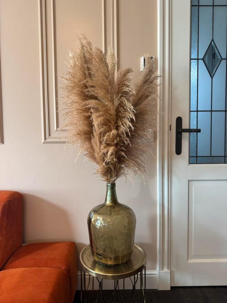 Mooie volle bos lichtbruin pampasgras pluimen, Huis en Inrichting, Woonaccessoires | Droogbloemen, Zo goed als nieuw, Ophalen of Verzenden