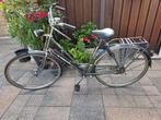 Gazelle damesfiets met 3 versnellingen, Ophalen, Versnellingen, Gazelle, 53 tot 56 cm