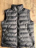 Peuterey bodywarmer, maat L, Kleding | Heren, Maat 52/54 (L), Verzenden, Zwart, Zo goed als nieuw
