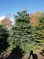 kerstbomen, Ophalen, Nieuw