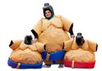 Te Huur: Sumoworstelen Spel Volwassenen Sumoworstelpak Sumo, Hobby en Vrije tijd, Ophalen, Zo goed als nieuw, Verjaardag