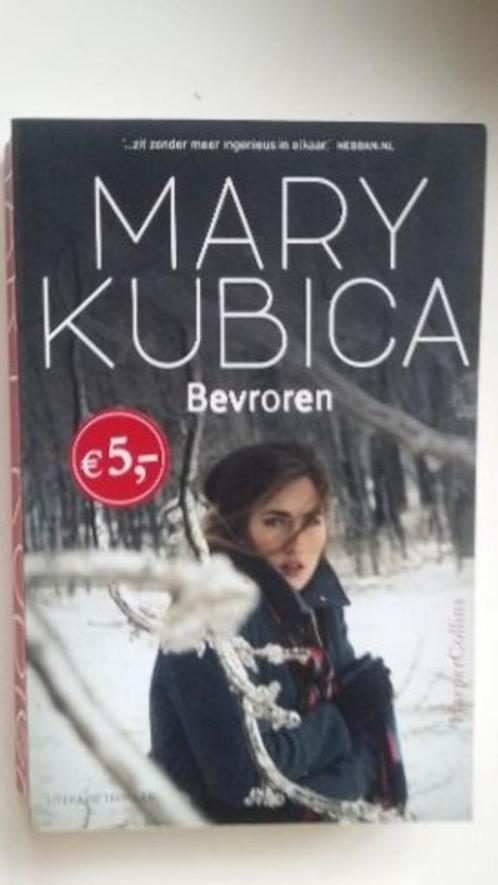 mary kubica bevroren, Boeken, Thrillers, Zo goed als nieuw, Nederland, Ophalen of Verzenden