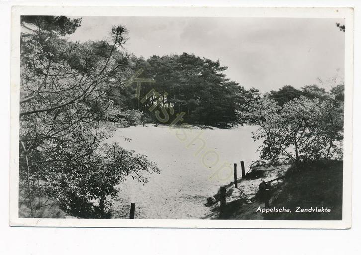 Appelscha - Zandvlakte [KRST009-0345, Verzamelen, Ansichtkaarten | Nederland, Gelopen, Friesland, 1960 tot 1980, Verzenden