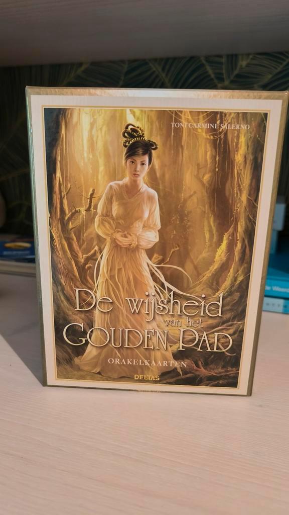 Toni Carmine Salerno - De wijsheid van het gouden pad, Boeken, Esoterie en Spiritualiteit, Zo goed als nieuw, Overige typen, Tarot of Kaarten leggen