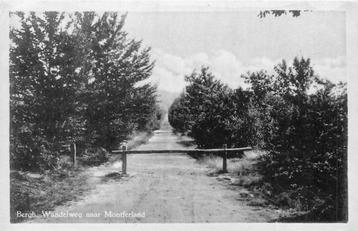 (387-194-055) Bergh Wandelweg naar Montferland beschikbaar voor biedingen