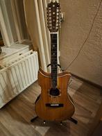 12 snaar electries versterkte gitaar, Ophalen, Zo goed als nieuw, Western- of Steelstringgitaar, Met (piezo-)element