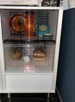 Omlet qute Hamsters gerbrils muis muizen ratten kooi hok, Ophalen of Verzenden, Zo goed als nieuw, Kooi, Muis