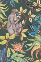 Cole & Son Ardmore Savuti behang - 3 rollen, Huis en Inrichting, Stoffering | Behang, Ophalen of Verzenden, Minder dan 10 m², Groen