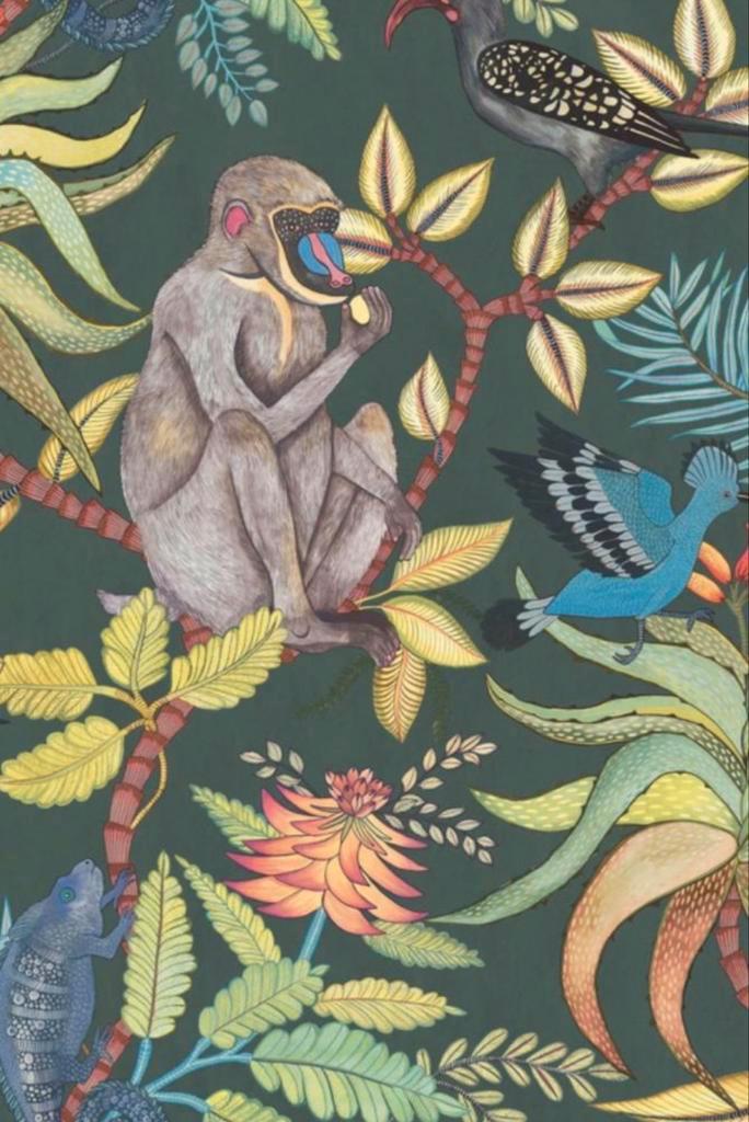 Cole & Son Ardmore Savuti behang - 3 rollen, Huis en Inrichting, Stoffering | Behang, Groen, minder dan 10 m², Ophalen of Verzenden