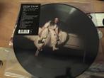 Billie eilish when we all fall asleep org 2019 picture disc, Ophalen, 2000 tot heden, Zo goed als nieuw, 12 inch