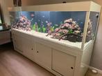 (Moet weg) Aquarium 250x80x80 (groot/zwaar aquarium), Ophalen, Gebruikt, Overige merken, Inclusief deksel