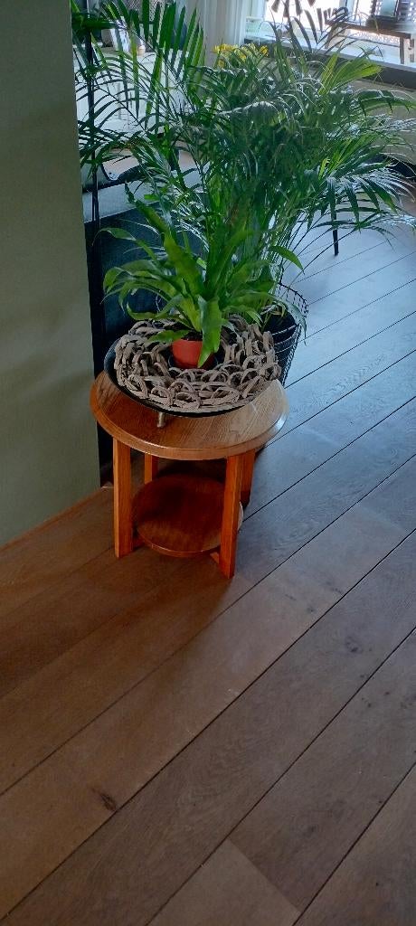 Planten/bijzettafeltje, Huis en Inrichting, Tafels | Bijzettafels, Minder dan 55 cm, Gebruikt, Rond, Hout