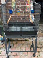 Diepte 45cm breedte 66cm kooihoogte 78cm totaal 145cm, Dieren en Toebehoren, Vogels | Parkieten en Papegaaien, Meerdere dieren