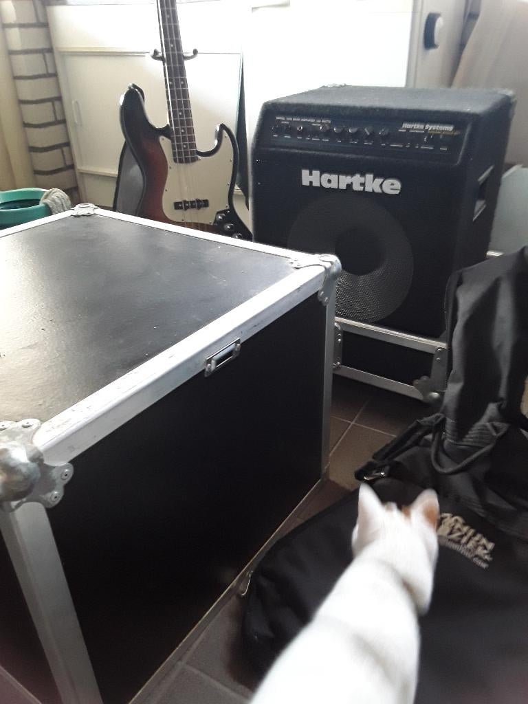 Complete Bas-gitaar set, Ophalen, Gebruikt, Elektrisch