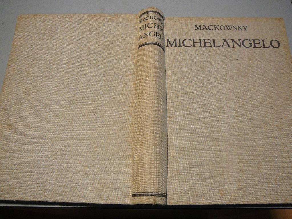 Michelangelo, Mackowsky, 114 afbeldingen, 1931, Ophalen of Verzenden