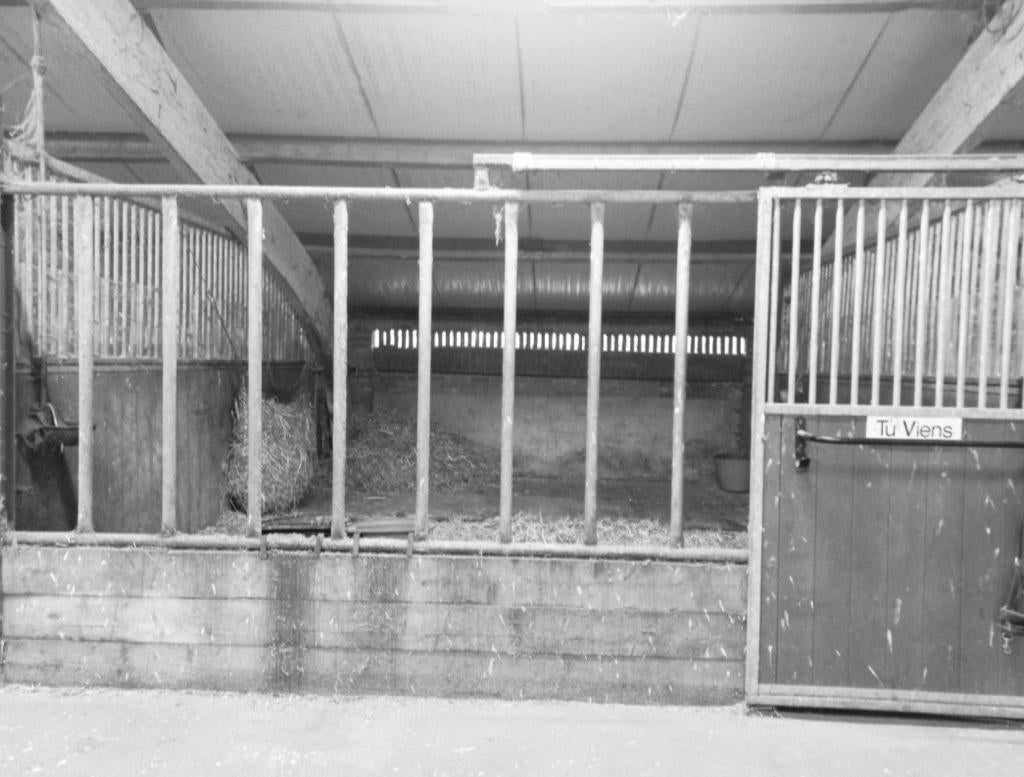 Stalling vrij op kleinschalige pensionstalling, Stalling