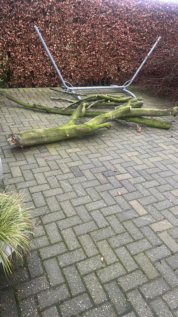 Gekapte boomstammen en takken, Minder dan 3 m³, Ophalen, Overige houtsoorten, Stammen