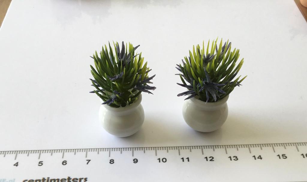 Poppenhuis miniaturen plantjes, Ophalen of Verzenden, Nieuw, Poppenhuis