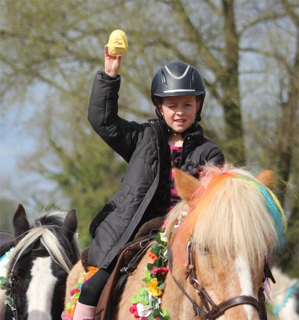 Diverse lease pony's aangeboden, Drie personen of meer