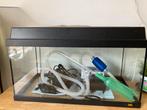 Aquarium Juwel 50 liter, Ophalen, Gebruikt, Leeg aquarium