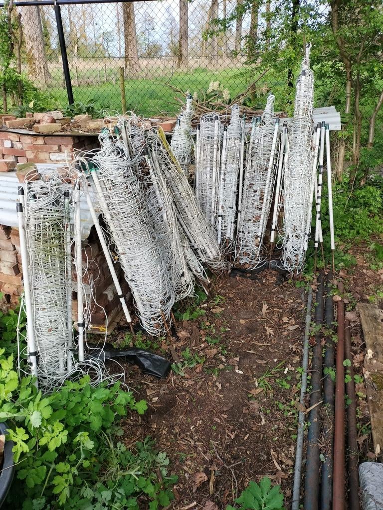 Mobiele afrastering schapen schapennet schrikdraad gallagher, Meerdere dieren, Schaap