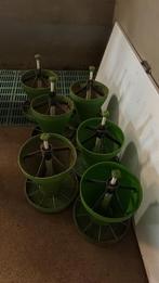 Clickfeeder biggen voerbakken, Meerdere dieren, Varken