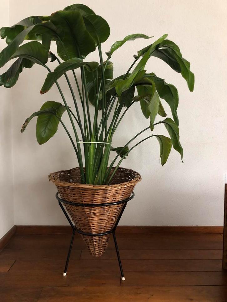 Vintage Rohe Noordwolde rietenmand met standaard, 59 cm hoog, Huis en Inrichting, Woonaccessoires | Overige, Gebruikt, Ophalen of Verzenden