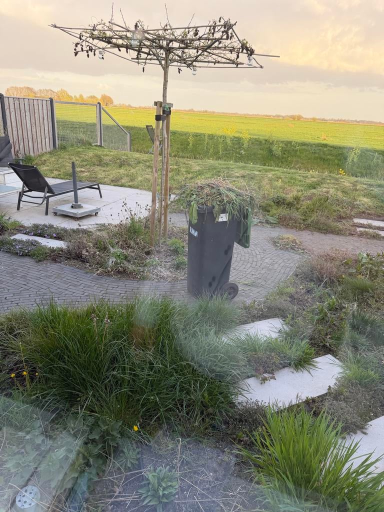 Iemand met groene vingers gezocht, Variabele uren, Overige niveaus, Starter, Overige vormen