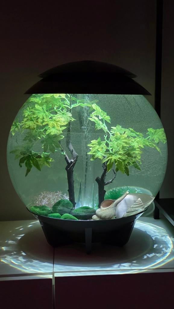 biOrb HALO 30 grijs, Ophalen, Gebruikt, Leeg aquarium