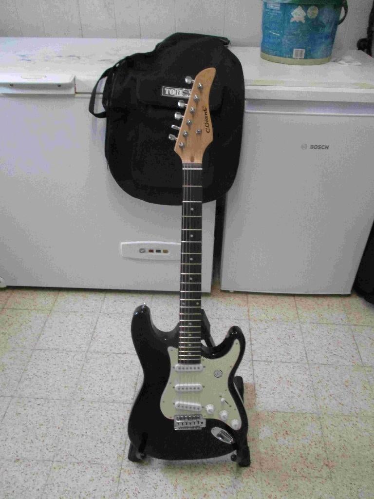 Gitaren C.Giant en Hudson ( li ), Muziek en Instrumenten, Ophalen of Verzenden, Zo goed als nieuw, Solid body, Overige merken