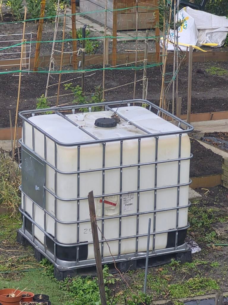 Regenton IBC container, Ophalen of Verzenden