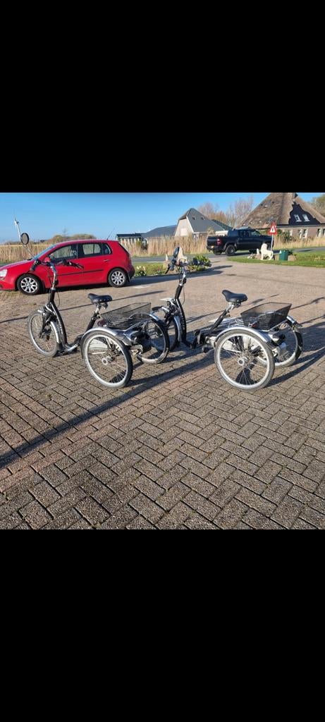 “Elektrische driewieler Van Raam Easy Rider – zeer stabiel, Ophalen of Verzenden